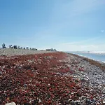 Kleine Freiheit Auf Fehmarn 別荘