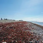 Kleine Freiheit Auf Fehmarn 別荘 *