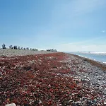 Kleine Freiheit Auf Fehmarn 別荘 *