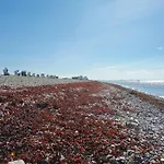 Kleine Freiheit Auf Fehmarn 別荘