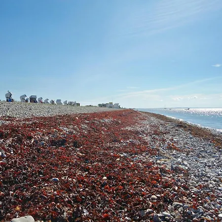 Kleine Freiheit Auf Fehmarn * Kopendorf