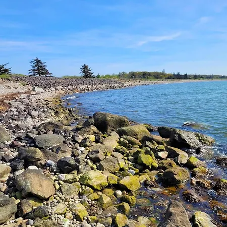 Kleine Freiheit Auf Fehmarn Σπίτι διακοπών Kopendorf